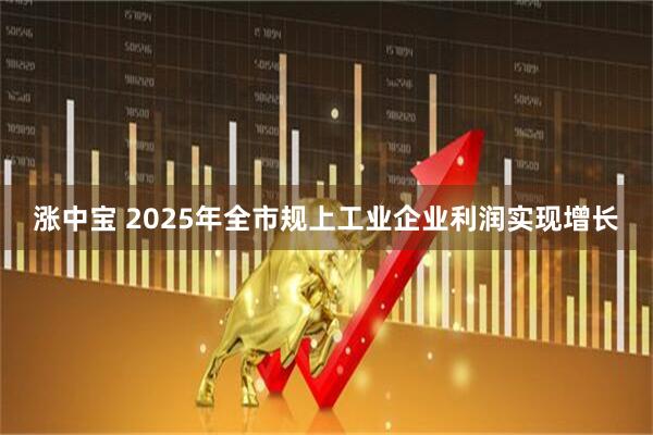 涨中宝 2025年全市规上工业企业利润实现增长
